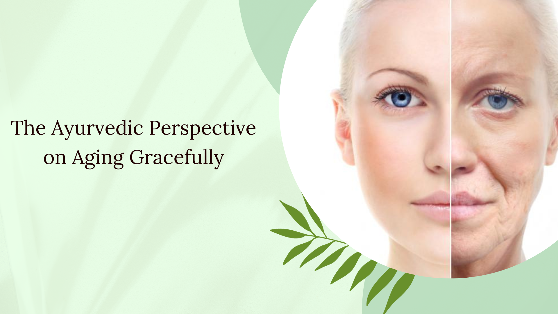 The Ayurvedic Perspective on Aging Gracefully Charak Ayurveda